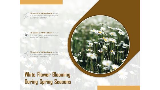 White Flower Blooming During Spring Seasons Ppt PowerPoint Presentation Summary Graphics Tutorials PDF White Flower Blooming During Spring Seasons Ppt PowerPoint Presentation Summary Graphics Tutorials PDF