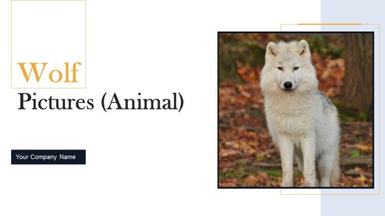 Wolf Pictures Animal Ppt PowerPoint Presentation Complete Deck With Slides Wolf Pictures Animal Ppt PowerPoint Presentation Complete Deck With Slides