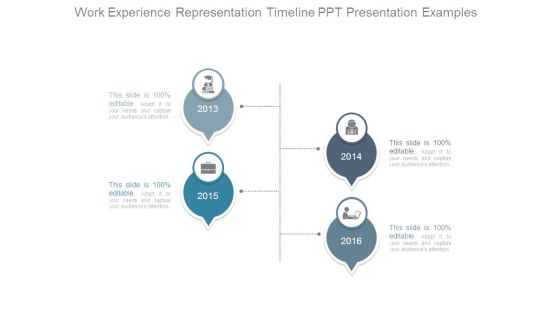 Work Experience Representation Timeline Ppt Presentation Examples