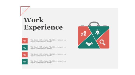Work Experience Template 1 Ppt PowerPoint Presentation File Skills Work Experience Template 1 Ppt PowerPoint Presentation File Skills