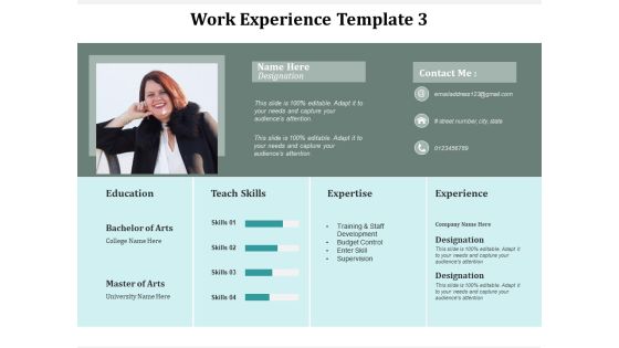 Work Experience Template Business Ppt Powerpoint Presentation Show Cpb