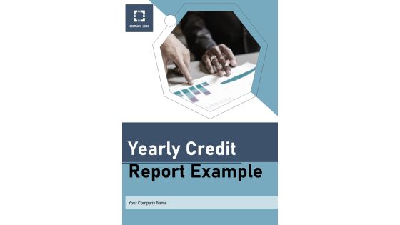 Yearly Credit Report Example One Pager Documents
