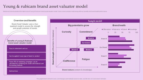 Young And Rubicam Brand Asset Valuator Model Brand And Equity Evaluation Techniques Information PDF