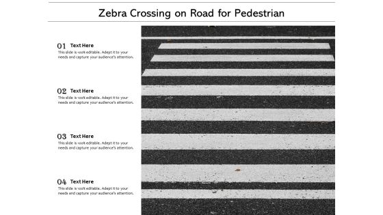 Zebra Crossing On Road For Pedestrian Ppt PowerPoint Presentation Layouts Display Zebra Crossing On Road For Pedestrian Ppt PowerPoint Presentation Layouts Display
