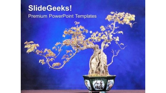 Abstract Background With Bonsai Plant PowerPoint Templates Ppt Backgrounds For Slides 0613