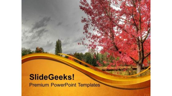 Amazing Autumn Scene PowerPoint Templates Ppt Backgrounds For Slides 0513 Amazing Autumn Scene PowerPoint Templates Ppt Backgrounds For Slides 0513