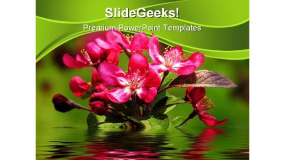 Apple Blooms Nature PowerPoint Background And Template 1210 Apple Blooms Nature PowerPoint Background And Template 1210