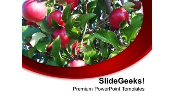 Apples Are Good For Health PowerPoint Templates Ppt Backgrounds For Slides 0613 Apples Are Good For Health PowerPoint Templates Ppt Backgrounds For Slides 0613