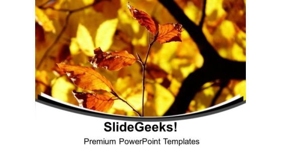 Autumn Leaves Abstract Background PowerPoint Templates Ppt Backgrounds For Slides 0613 Autumn Leaves Abstract Background PowerPoint Templates Ppt Backgrounds For Slides 0613
