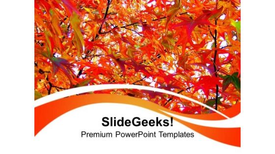 Autumn Leaves Nature PowerPoint Templates Ppt Backgrounds For Slides 0213 Autumn Leaves Nature PowerPoint Templates Ppt Backgrounds For Slides 0213