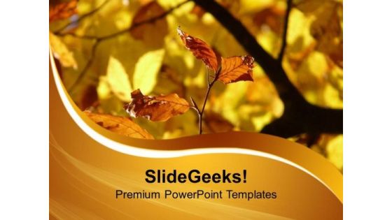 Autumn Leaves PowerPoint Templates Ppt Backgrounds For Slides 0513 Autumn Leaves PowerPoint Templates Ppt Backgrounds For Slides 0513