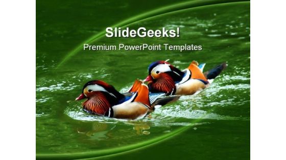 Awesome Colored Ducks Animals PowerPoint Templates And PowerPoint Backgrounds 0211 Awesome Colored Ducks Animals PowerPoint Templates And PowerPoint Backgrounds 0211