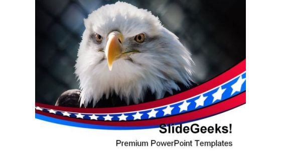 Bald Eagle Americana PowerPoint Themes And PowerPoint Slides 0311 Bald Eagle Americana PowerPoint Themes And PowerPoint Slides 0311