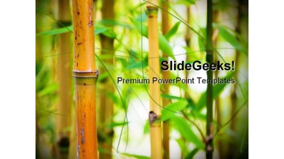 Bamboo Nature PowerPoint Templates And PowerPoint Backgrounds 0111 Bamboo Nature PowerPoint Templates And PowerPoint Backgrounds 0111