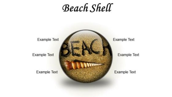 Beach Shell Holidays PowerPoint Presentation Slides C Beach Shell Holidays PowerPoint Presentation Slides C