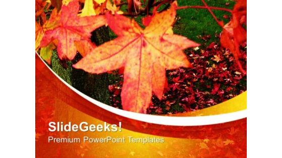 Beautiful Autumn Leaves PowerPoint Templates Ppt Backgrounds For Slides 0613 Beautiful Autumn Leaves PowerPoint Templates Ppt Backgrounds For Slides 0613