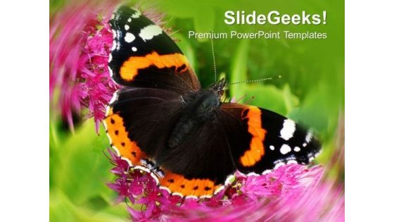 Beautiful Background With Butterfly PowerPoint Templates Ppt Backgrounds For Slides 0413 Beautiful Background With Butterfly PowerPoint Templates Ppt Backgrounds For Slides 0413