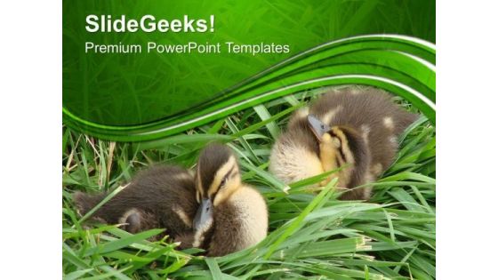 Beautiful Background With Ducklings PowerPoint Templates Ppt Backgrounds For Slides 0613 Beautiful Background With Ducklings PowerPoint Templates Ppt Backgrounds For Slides 0613