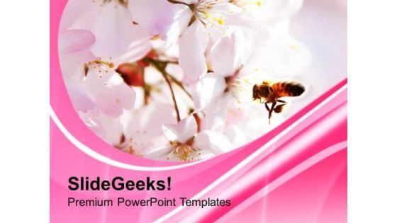Beautiful Background With Pink Color PowerPoint Templates Ppt Backgrounds For Slides 0613 Beautiful Background With Pink Color PowerPoint Templates Ppt Backgrounds For Slides 0613