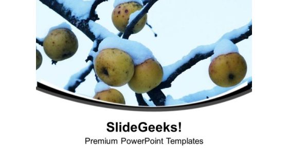 Beautiful Colors And Fruit In Background PowerPoint Templates Ppt Backgrounds For Slides 0413 Beautiful Colors And Fruit In Background PowerPoint Templates Ppt Backgrounds For Slides 0413