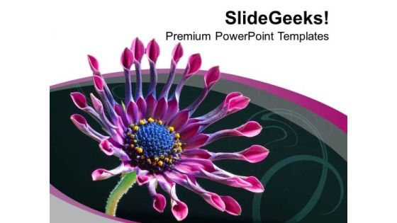 Beautiful Flower Background Theme PowerPoint Templates Ppt Backgrounds For Slides 0513 Beautiful Flower Background Theme PowerPoint Templates Ppt Backgrounds For Slides 0513
