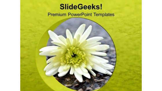 Beautiful Flower For Decoration PowerPoint Templates Ppt Backgrounds For Slides 0313 Beautiful Flower For Decoration PowerPoint Templates Ppt Backgrounds For Slides 0313