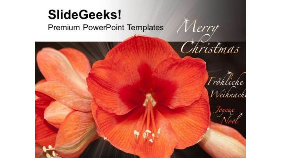 Beautiful Flowers For Wishes Merry Christmas PowerPoint Templates Ppt Backgrounds For Slides 0513 Beautiful Flowers For Wishes Merry Christmas PowerPoint Templates Ppt Backgrounds For Slides 0513