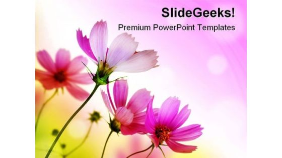 Beautiful Pink Flowers Beauty PowerPoint Templates And PowerPoint Backgrounds 0411 Beautiful Pink Flowers Beauty PowerPoint Templates And PowerPoint Backgrounds 0411