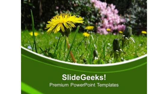 Beauty Of Nature With Flowers PowerPoint Templates Ppt Backgrounds For Slides 0513 Beauty Of Nature With Flowers PowerPoint Templates Ppt Backgrounds For Slides 0513