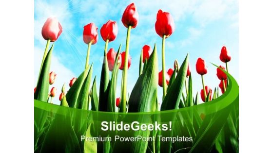 Big Tulips Decoration Celebration PowerPoint Templates Ppt Backgrounds For Slides 0213 Big Tulips Decoration Celebration PowerPoint Templates Ppt Backgrounds For Slides 0213