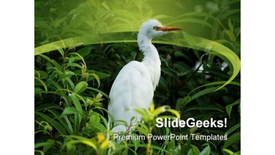Bird In Tree Animals PowerPoint Themes And PowerPoint Slides 0211 Bird In Tree Animals PowerPoint Themes And PowerPoint Slides 0211