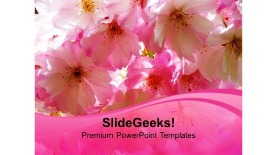 Blossoms Beauty Nature PowerPoint Templates Ppt Backgrounds For Slides 0213 Blossoms Beauty Nature PowerPoint Templates Ppt Backgrounds For Slides 0213