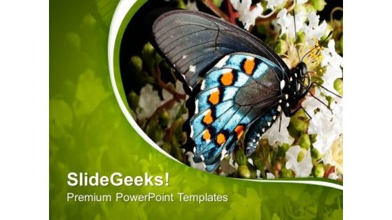 Blue Butterfly With Green Abstract Background PowerPoint Templates Ppt Backgrounds For Slides 0713 Blue Butterfly With Green Abstract Background PowerPoint Templates Ppt Backgrounds For Slides 0713