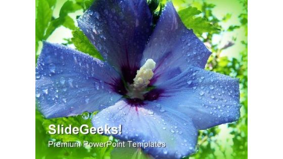Blue Flower Nature PowerPoint Templates And PowerPoint Backgrounds 0311