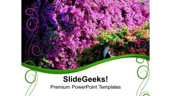 Bougainvillea Pink Flowers Beauty PowerPoint Templates Ppt Backgrounds For Slides 0513 Bougainvillea Pink Flowers Beauty PowerPoint Templates Ppt Backgrounds For Slides 0513