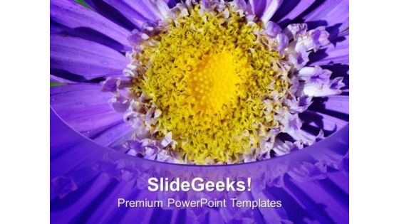 Bright And Colorful Macro Flowers PowerPoint Templates Ppt Backgrounds For Slides 0513 Bright And Colorful Macro Flowers PowerPoint Templates Ppt Backgrounds For Slides 0513