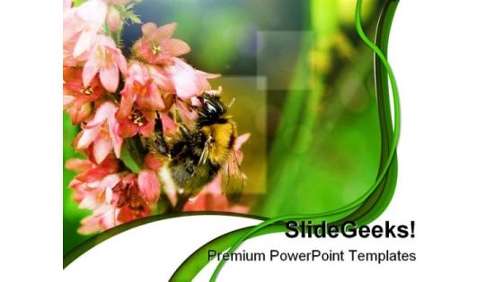 Bumble Bee Nature PowerPoint Templates And PowerPoint Backgrounds 0211 Bumble Bee Nature PowerPoint Templates And PowerPoint Backgrounds 0211