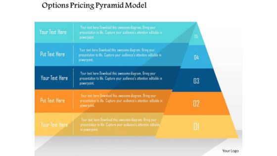 Business Diagram Options Pricing Pyramid Model Presentation Template Business Diagram Options Pricing Pyramid Model Presentation Template