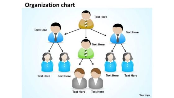 Business Diagram Organization Sketch Marketing Diagram