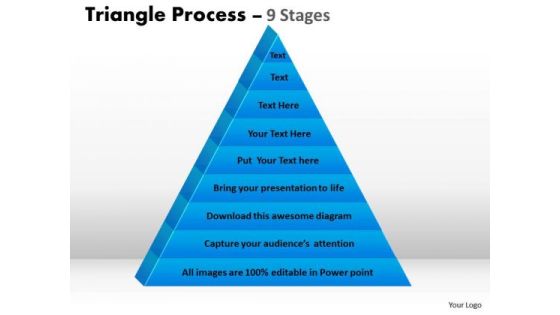 Business Diagram Triangular Diagram With 9 Staged For Strategy Marketing Diagram Business Diagram Triangular Diagram With 9 Staged For Strategy Marketing Diagram