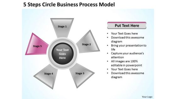Business Strategy Consultants 5 Steps Circle Process Model Plan Business Strategy Consultants 5 Steps Circle Process Model Plan