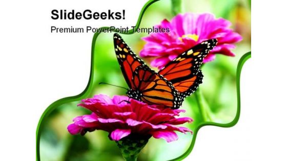 Butterfly And Flower Animals PowerPoint Templates And PowerPoint Backgrounds 0211 Butterfly And Flower Animals PowerPoint Templates And PowerPoint Backgrounds 0211