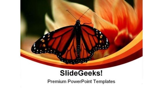 Butterfly Beauty Nature PowerPoint Themes And PowerPoint Slides 0211 Butterfly Beauty Nature PowerPoint Themes And PowerPoint Slides 0211