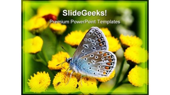 Butterfly Beauty PowerPoint Templates And PowerPoint Backgrounds 0211