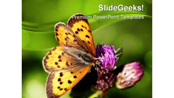 Butterfly Nature PowerPoint Templates And PowerPoint Backgrounds 0211 Butterfly Nature PowerPoint Templates And PowerPoint Backgrounds 0211