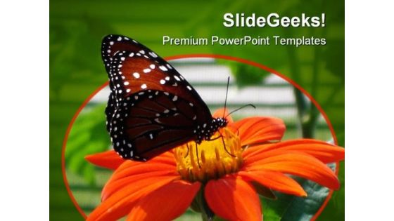 Butterfly On Flower Animal PowerPoint Template 0810 Butterfly On Flower Animal PowerPoint Template 0810