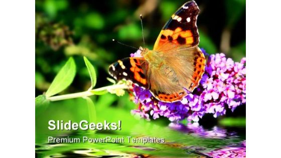 Butterfly On Flower Beauty PowerPoint Themes And PowerPoint Slides 0211 Butterfly On Flower Beauty PowerPoint Themes And PowerPoint Slides 0211