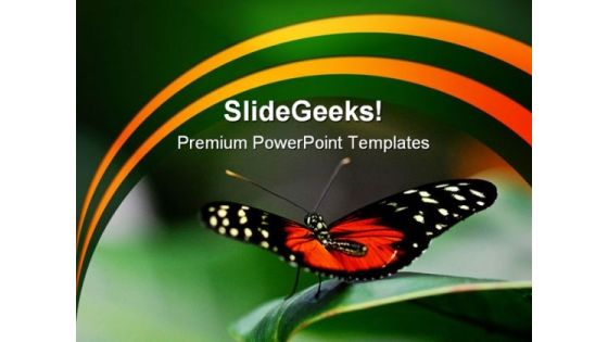 Butterfly Ready Animals PowerPoint Themes And PowerPoint Slides 0211