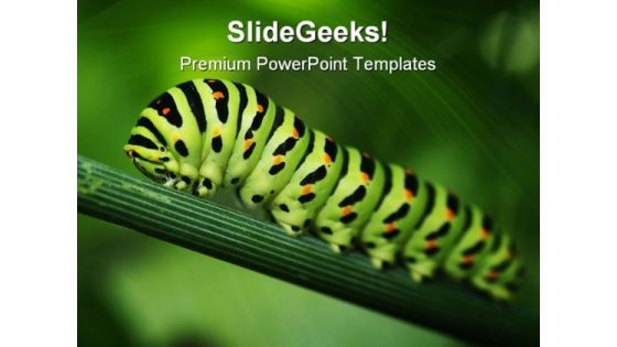 Caterpillar Animals PowerPoint Templates And PowerPoint Backgrounds 0211 Caterpillar Animals PowerPoint Templates And PowerPoint Backgrounds 0211