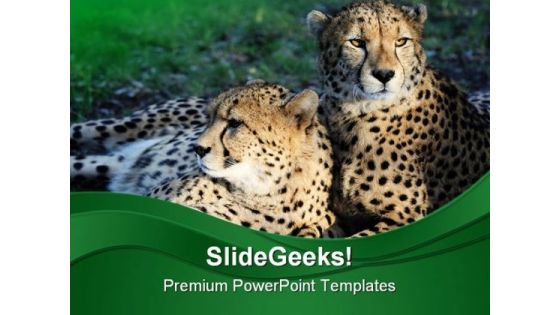 Cheetah Wild Cats Animals PowerPoint Themes And PowerPoint Slides 0211